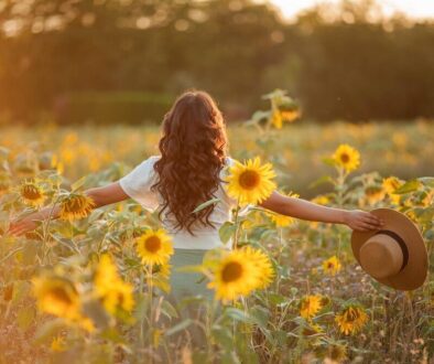 Young Asian woman with curly hair in a field of sunflowers at sunset. Portrait of a young beautiful asian woman in the sun.